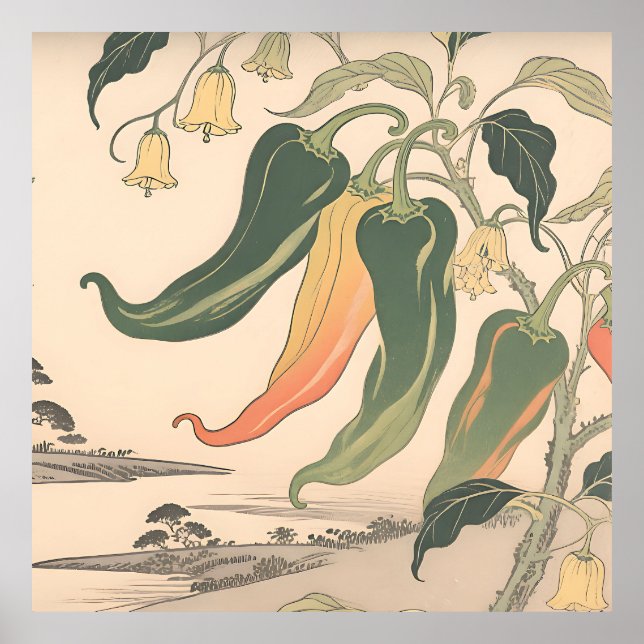 Vintage Chili Pepper Illustration Poster (Front)