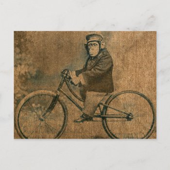 Vintage Chimp Riding A Bicycle Postcard by AnyTownArt at Zazzle