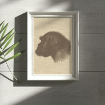 Vintage Chimpanzee Illustration on Burlap