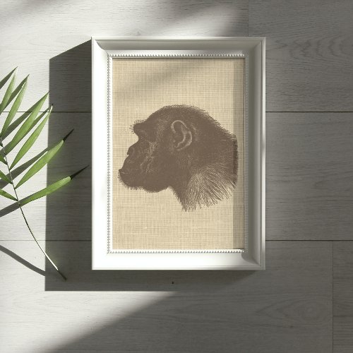 Vintage Chimpanzee Illustration on Burlap   Poster