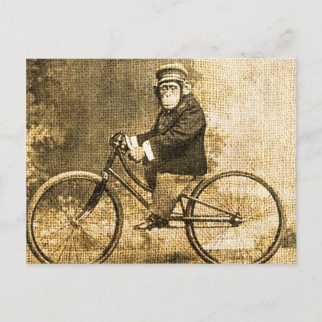 Vintage Chimpanzee on a Bicycle Postcard (Front)