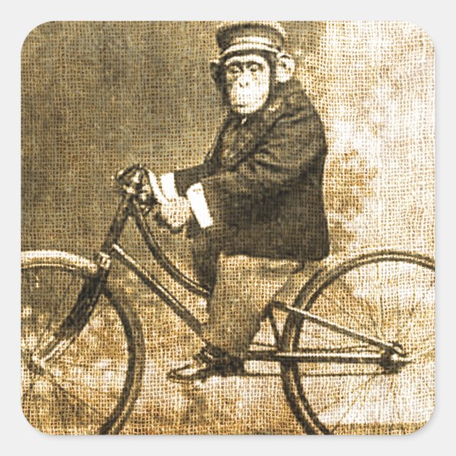 Vintage Chimpanzee on a Bicycle Square Sticker (Front)
