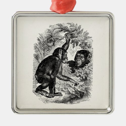 Vintage Chimpanzees 1800s Monkey Chimp Template Metal Ornament