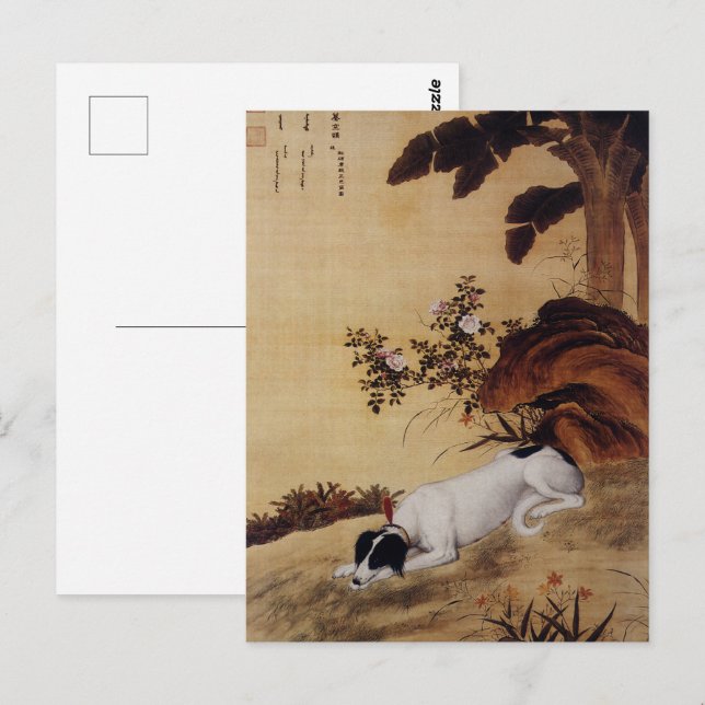 Vintage Chinese Greyhound Under Banana Tree Postcard (Front/Back)
