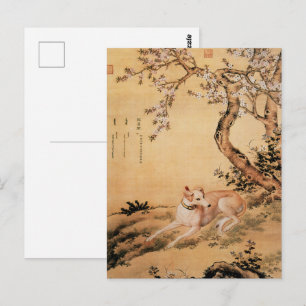 Vintage Chinese Greyhound Under Peach Blossoms Postcard