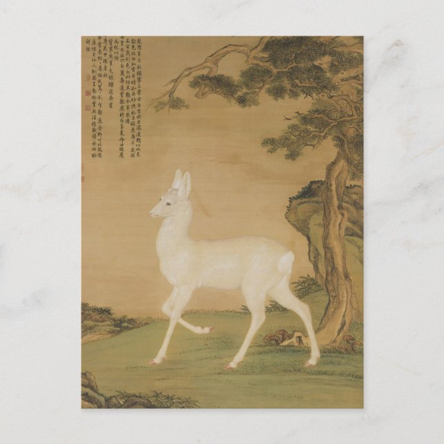 Vintage Chinese Imperial Art White Deer Painting Postcard (Front)