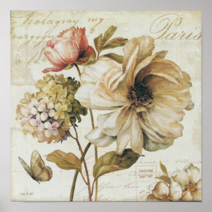 Vintage Chinese Rose. Poster