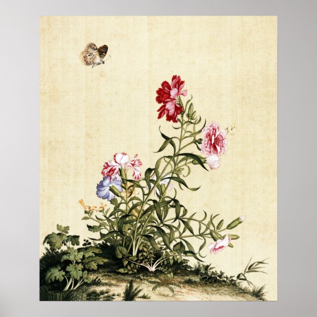 Vintage Chinoiserie Carnations & Butterfly Art Poster (Front)