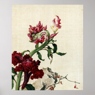 Vintage Chinoiserie Red Cockscomb Flower Art Poster
