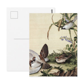 Vintage Chinoiserie Sparrows and Purple Flowers Postcard
