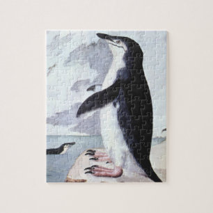 Vintage Chinstrap Penguin, Birds from Antarctica Jigsaw Puzzle