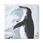 Vintage Chinstrap Penguin, Birds from Antarctica Magnet