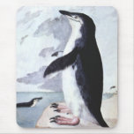 Vintage Chinstrap Penguin, Birds from Antarctica Mouse Pad