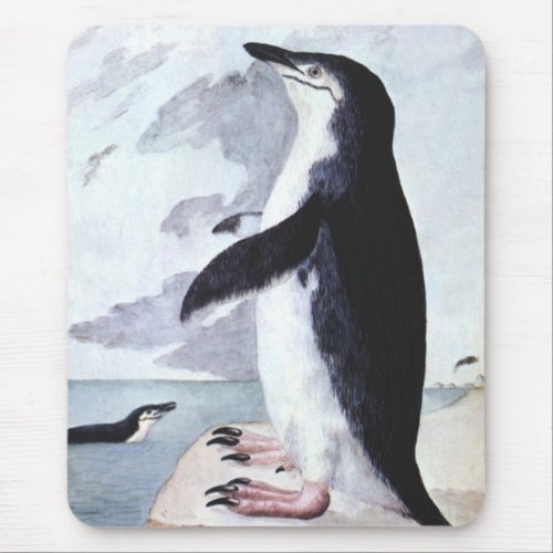 Vintage Chinstrap Penguin Birds from Antarctica Mouse Pad