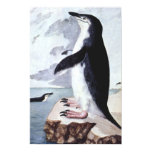Vintage Chinstrap Penguin, Birds from Antarctica Poster