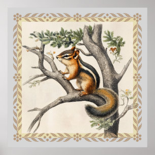 Vintage Chipmunk Sketch for Nature Lovers Poster