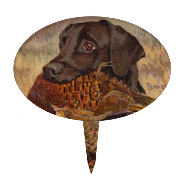 Vintage Chocolate Lab Hunting Cake Topper Zazzle