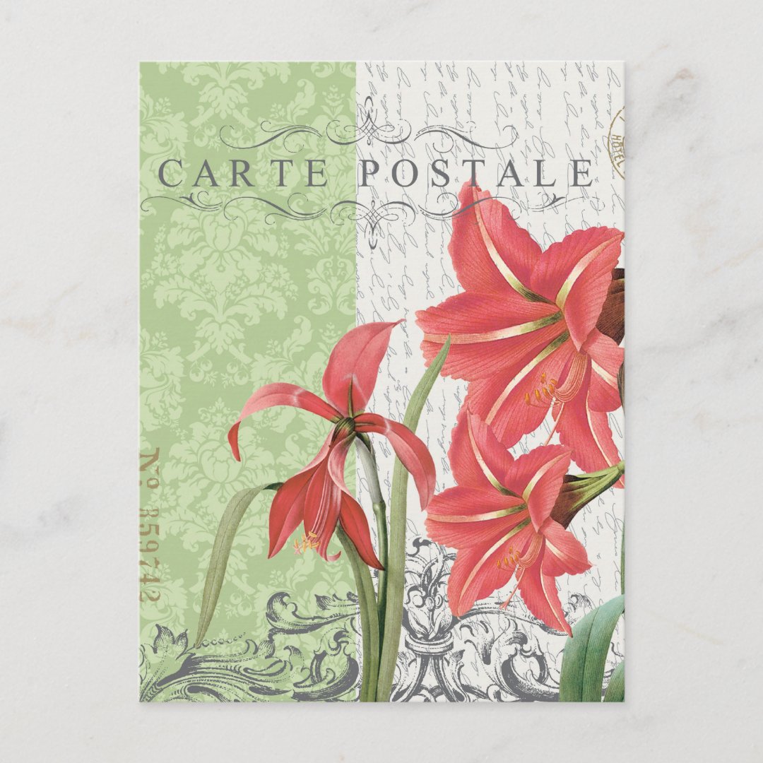 Vintage Christmas-Amaryllis postcard (Front)