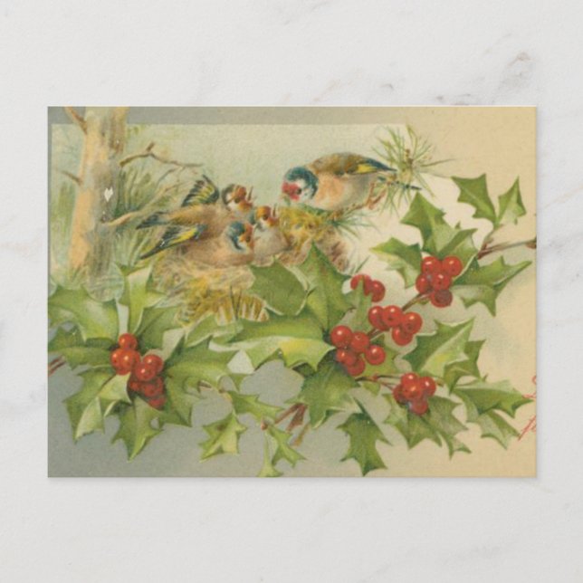 Vintage Christmas Birds Nest Holiday Postcard (Front)
