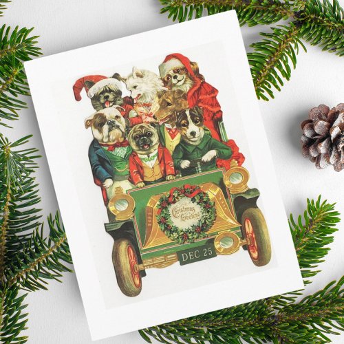 Vintage Christmas Car Load Of Dogs Holiday Postcard