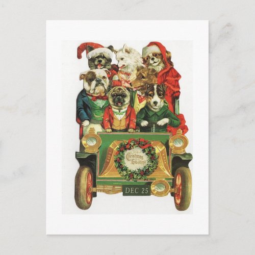 Vintage Christmas Car Load Of Dogs Holiday Postcard
