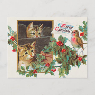 Vintage Christmas Cat And Holly Berry Postcard