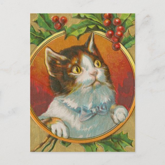 Vintage Christmas Cat Holiday Postcard (Front)