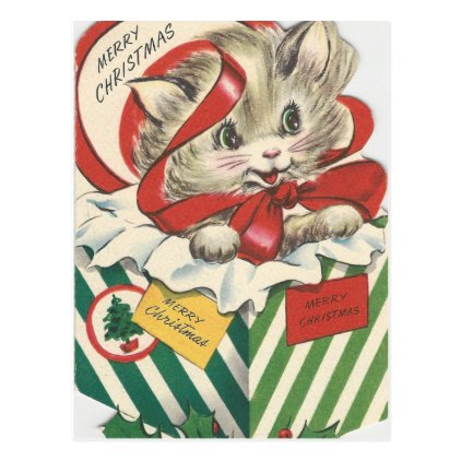 Vintage Christmas Cat In Present Postcard