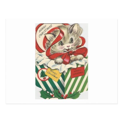 Vintage Christmas Cat In Present Postcard