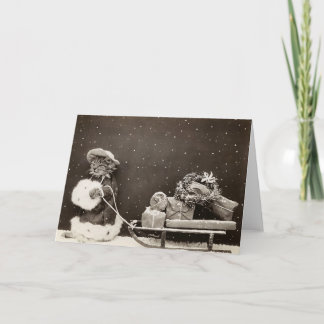 Vintage Christmas Cat Pulling Gift Sled Photo Holiday Card