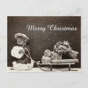 Vintage Christmas Cat with sled and wreath Holiday Postcard