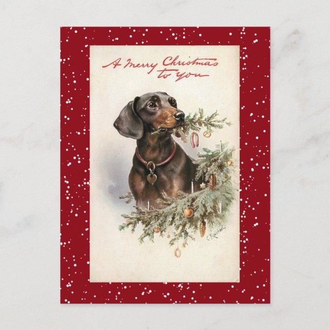 Vintage Christmas Dachshund Dog Holiday Postcard (Front)