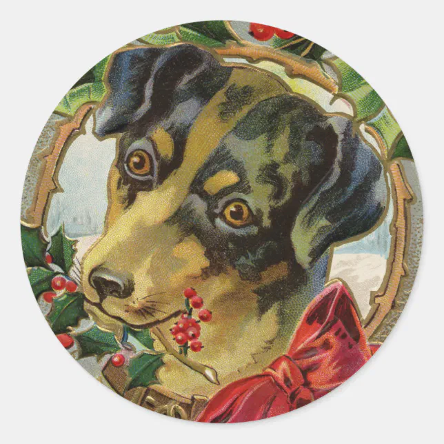 Vintage Christmas, Dachshund Puppy Dog with Holly Classic Round Sticker ...
