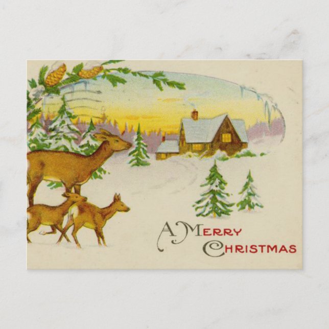 Vintage Christmas Deer Holiday Postcard (Front)