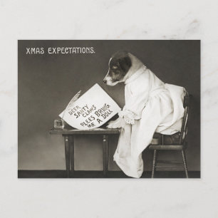 Vintage Christmas Dog Puppy Humor Postcard