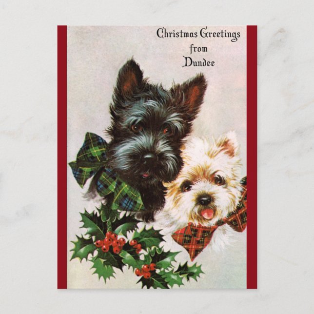 Vintage Christmas Dogs Holiday Postcard (Front)