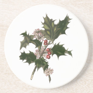 Vintage Christmas, Green Holly Plant with Berries Drink Coaster