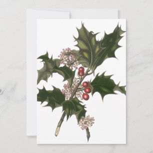 Vintage Christmas, Green Holly Plant with Berries Invitation