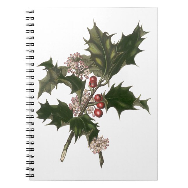 Vintage Christmas, Green Holly Plant with Berries Notebook (Front)