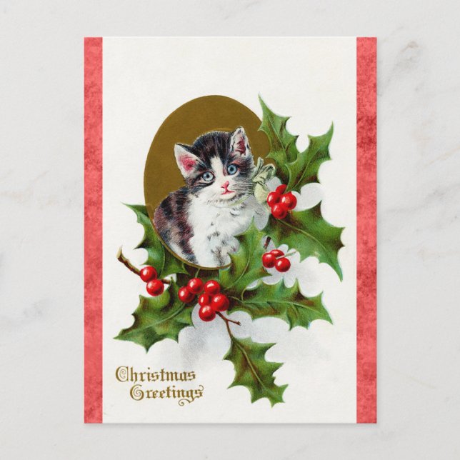 Vintage Christmas Greetings Cute Kitten Cat Postcard (Front)