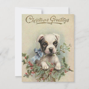 Vintage Christmas Greetings Puppy In Holly Berry Holiday Card