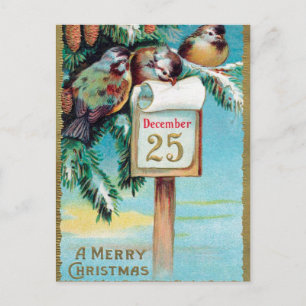 Vintage Christmas Holiday birds postcard