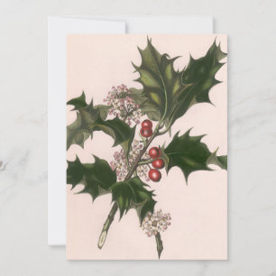 Vintage Christmas, Holly and Berries Invitation