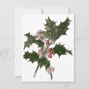 Vintage Christmas, Holly Plant Berries Invitation