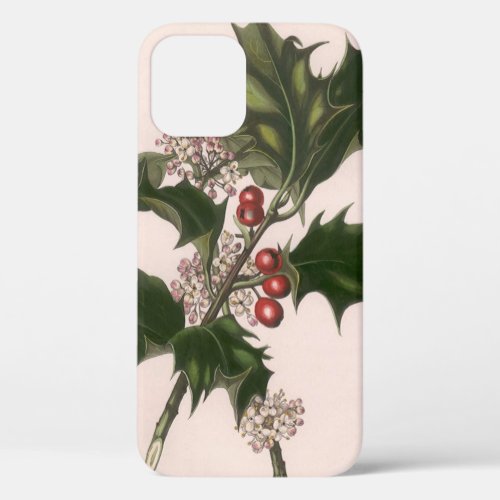 Vintage Christmas Holly Plant with Red Berries iPhone 12 Case