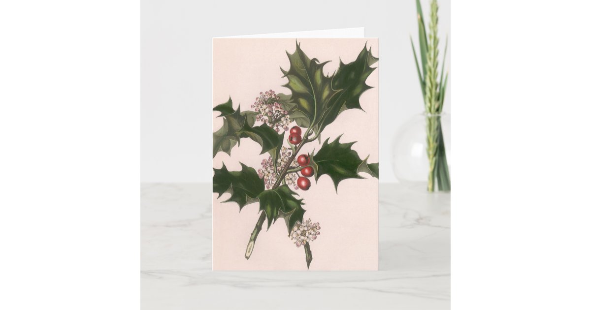Vintage Christmas Holly Plant With Red Berries Holiday Card Zazzle Com