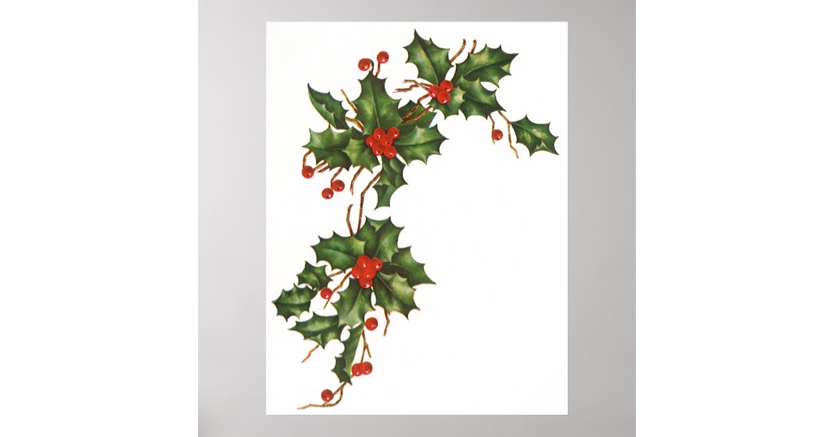 Red berries Poster