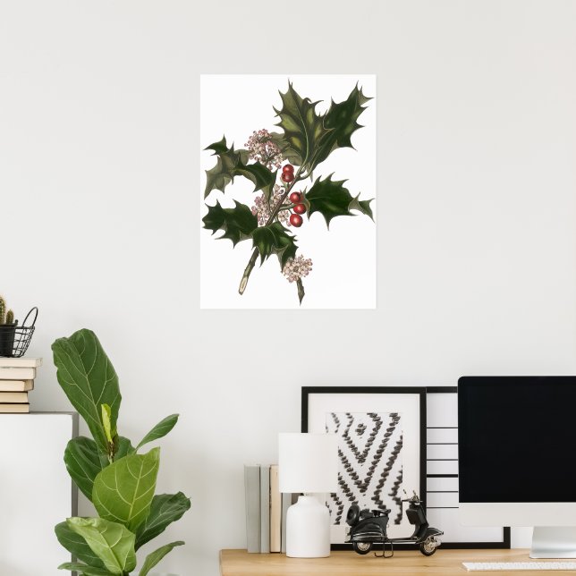 Vintage Christmas, Holly Plant with Red Berries Poster (Home Office)