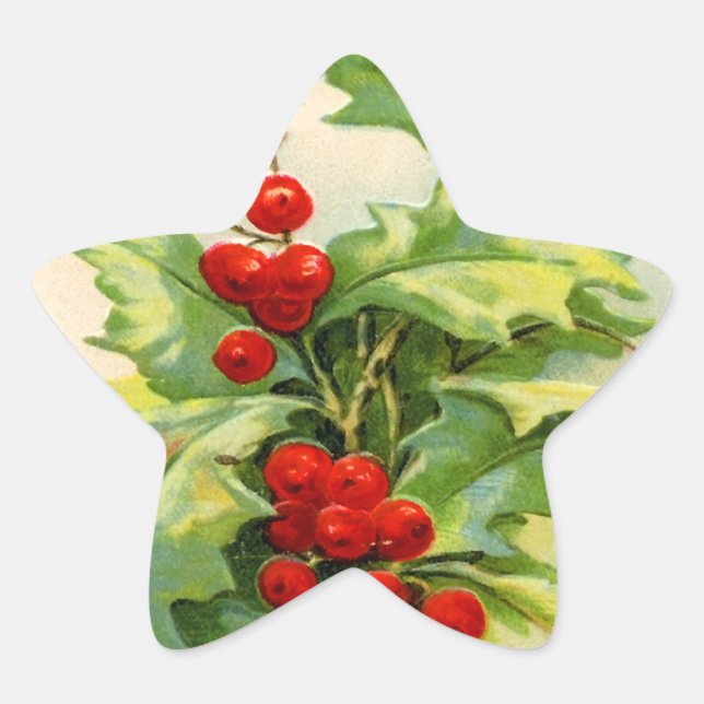 Vintage Christmas Holly Star Stickers (Front)