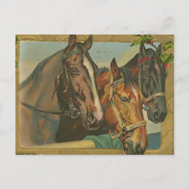 Vintage Christmas Horses Holiday Postcard (Front)